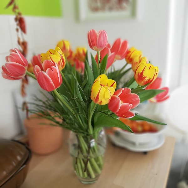 Frischer Tulpenstrauß in der Vase