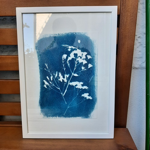 Eine blaue Cyanotypie mit Pflanzen in einem weißen Bilderrahmen