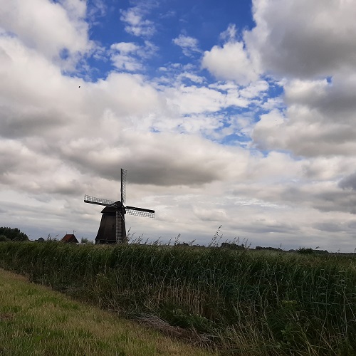 Windmühle in einem Kornfeld