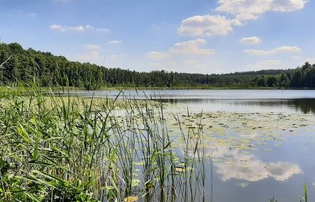See in der Uckermark